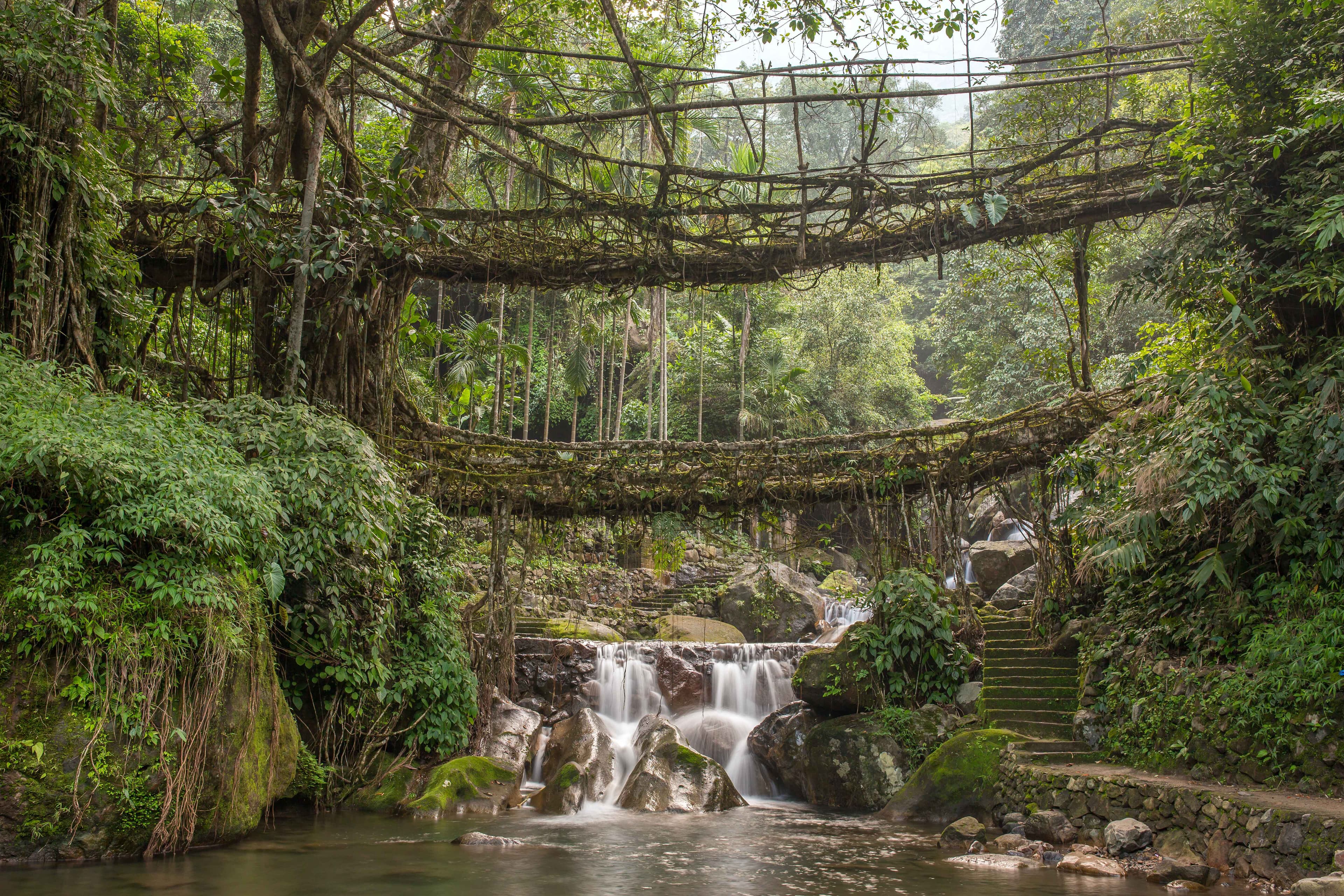 Planning a Trip to North East India? No Time Is Better Than Now!