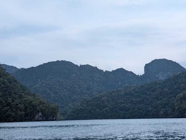 Review Image 6