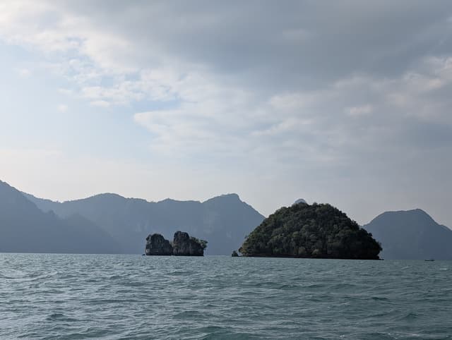Review Image 7