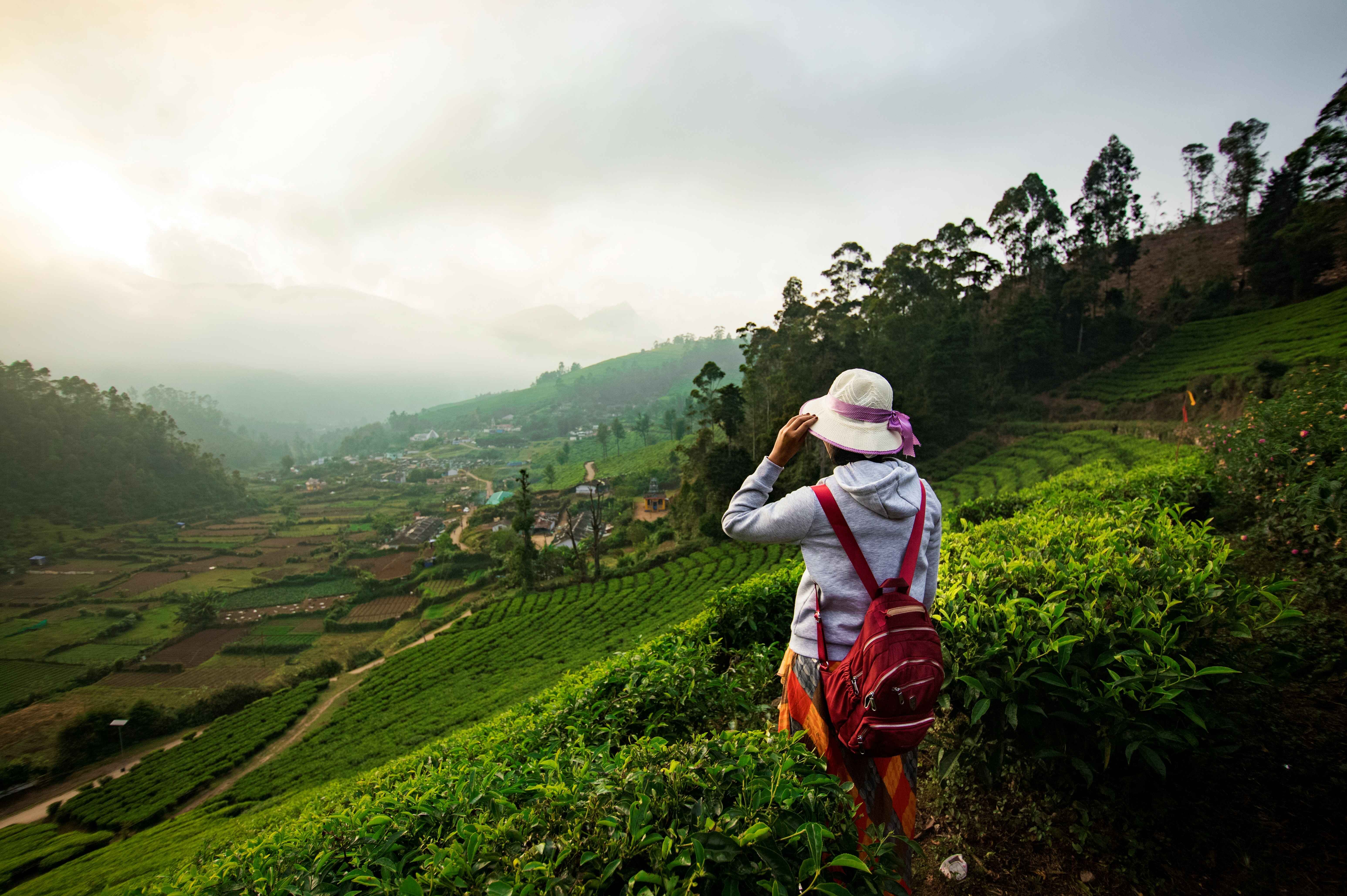 Top 6 Budget Honeymoon Destinations In Kerala