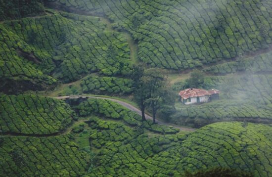 kerala travel packages for couple from kolkata