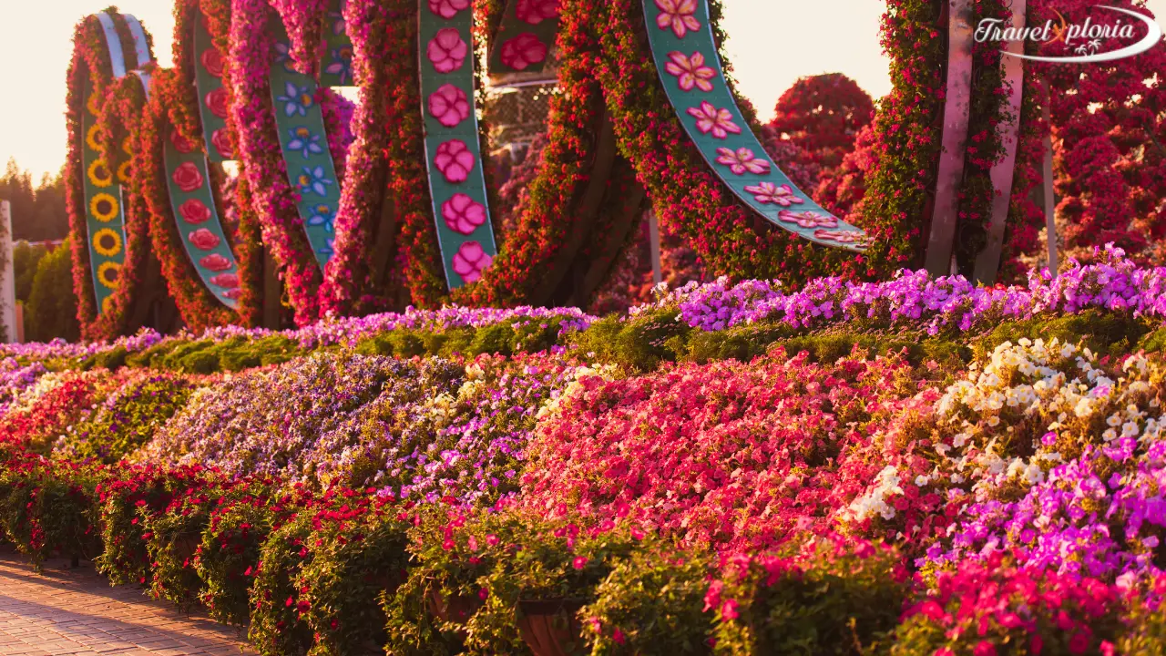 Dubai Miracle Garden