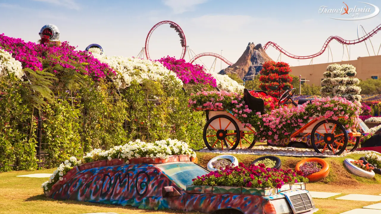 Dubai Miracle Garden