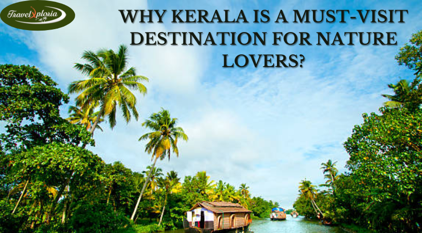 Why Kerala Is A Must-Visit Destination For Nature Lovers?