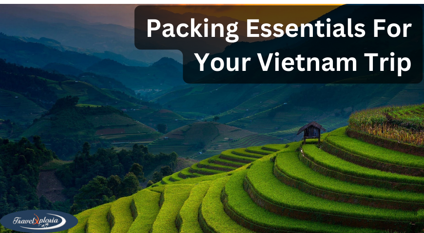 Packing Essentials For Your Vietnam Trip