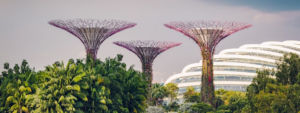 gardens by the bay, singapore